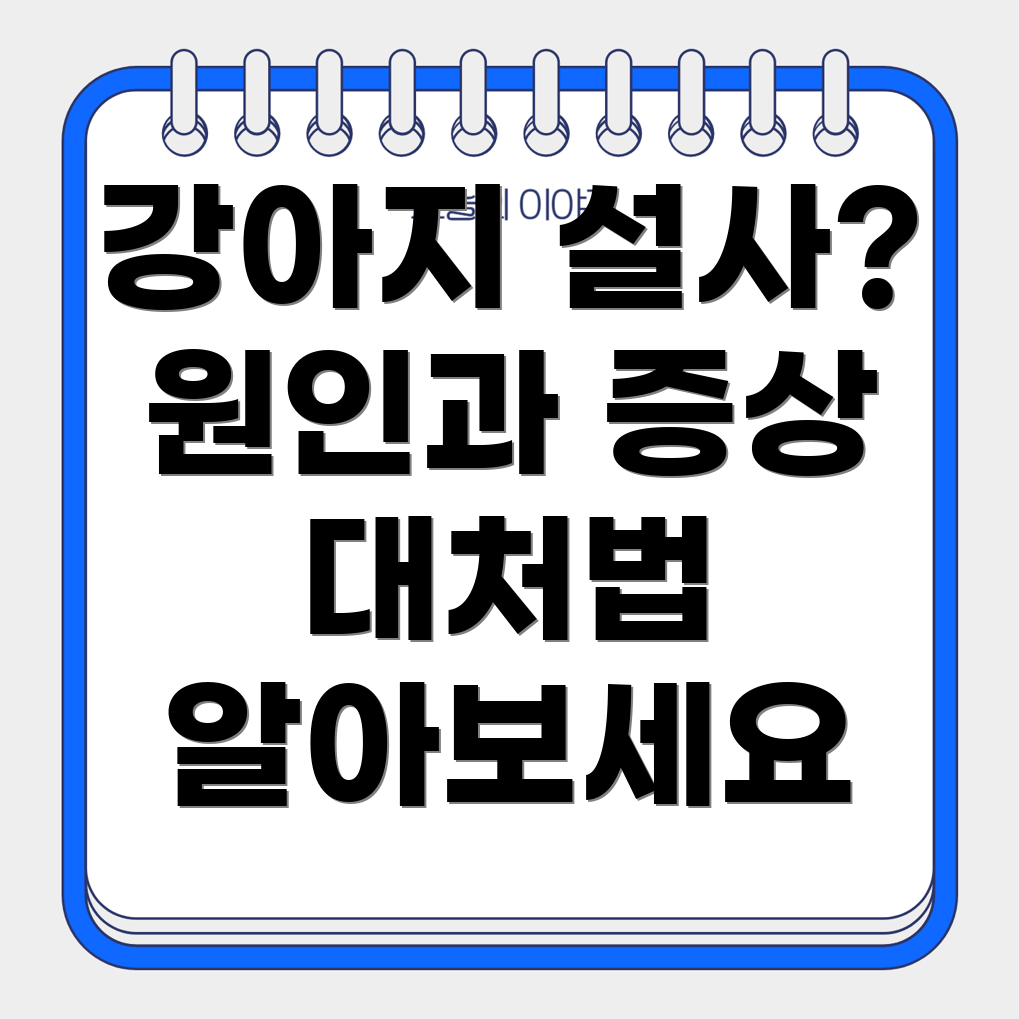 강아지 설사