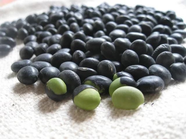 서리태 효능 먹는법 영양성분_9