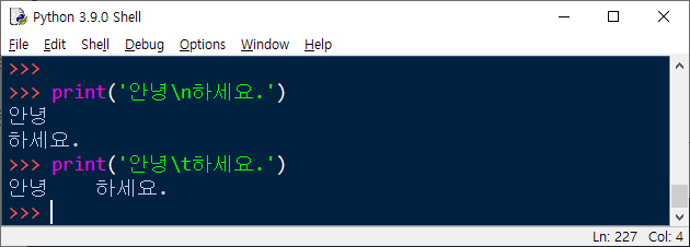 파이썬에서 이스케이프 문자를 사용하는 방법
