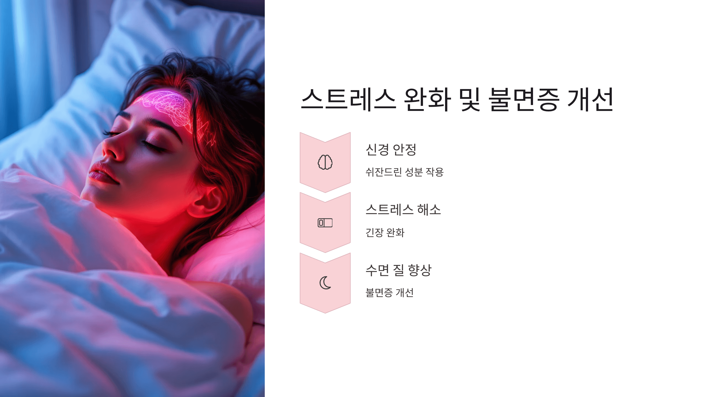오미자 사진입니다.