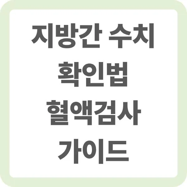지방간 수치 확인법 및 혈액검사 가이드 안내 타이틀 텍스트 이미지