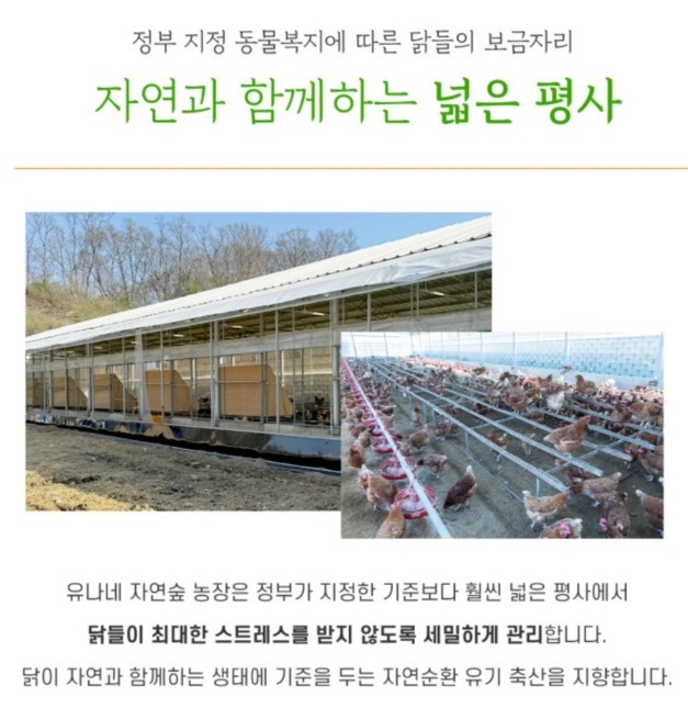 동네한바퀴-경기도-연천-유정란-유나네자연숲농장