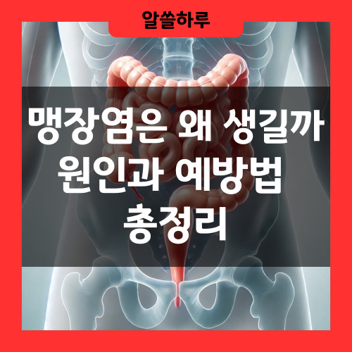 맹장염 원인과 예방법