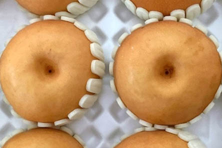 저녁밥대신과일-배