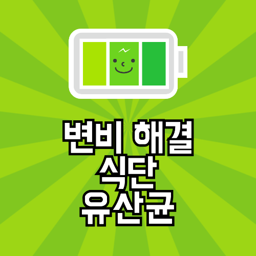 변비식단