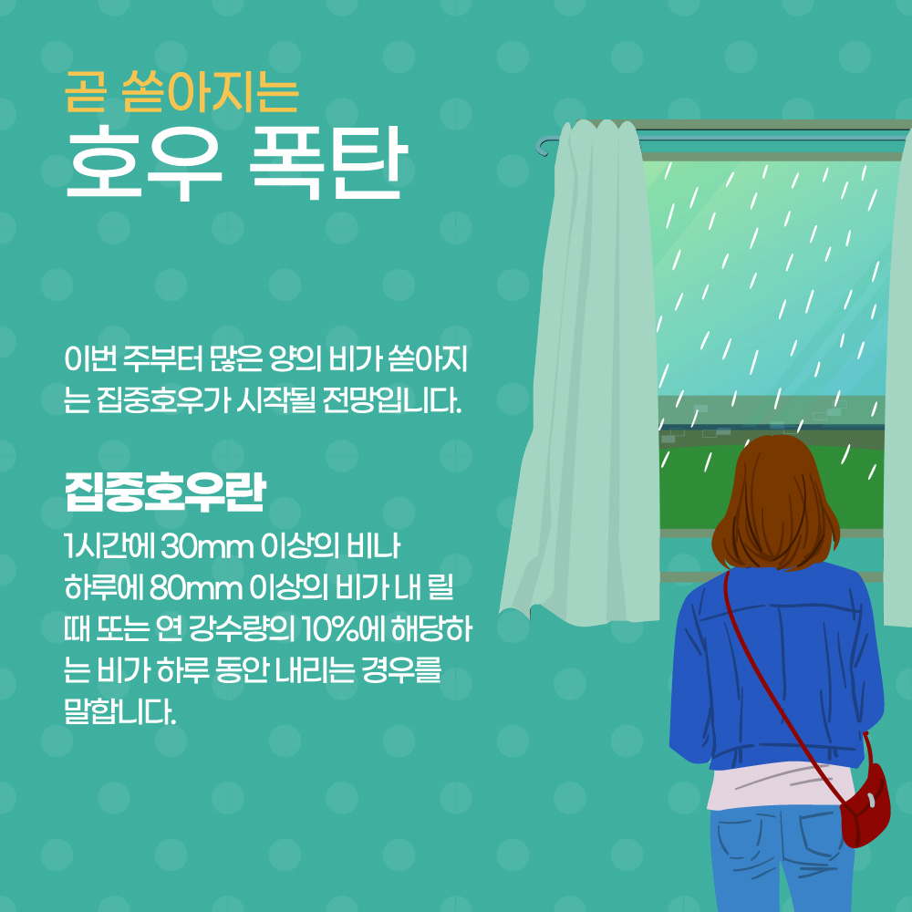 2025년 장마기간 호우주의보 태풍경보