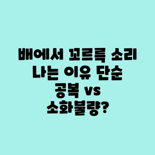 배에서 꼬르륵 소리 나는 이유 단순 공복 vs 소화불량?