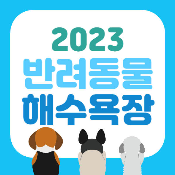 반려동물 해수욕장