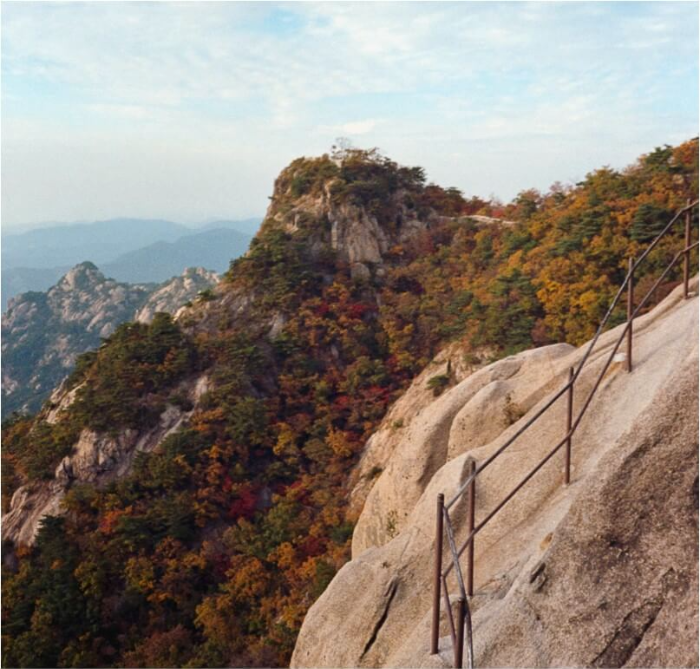 산 꿈 해몽