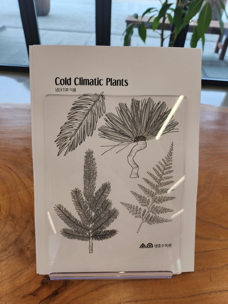 색칠 놀이 도안