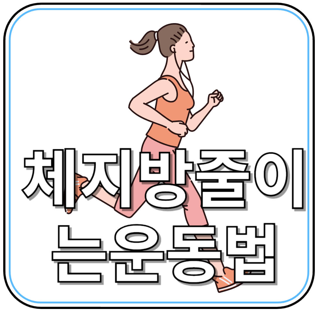 체지방 줄이는 최적의 운동법: 30일만에 내 몸 바꾸는 실전 가이드