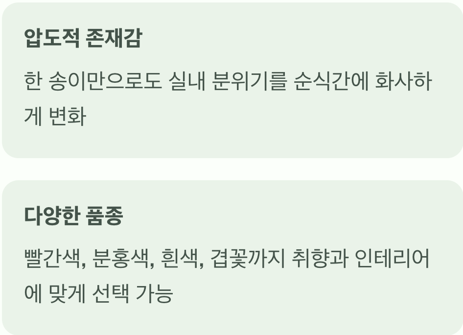 장점: 실내를 압도하는 화려함