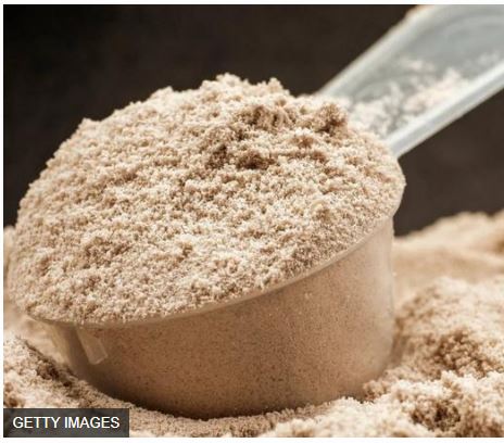 단백질-보충제-추천