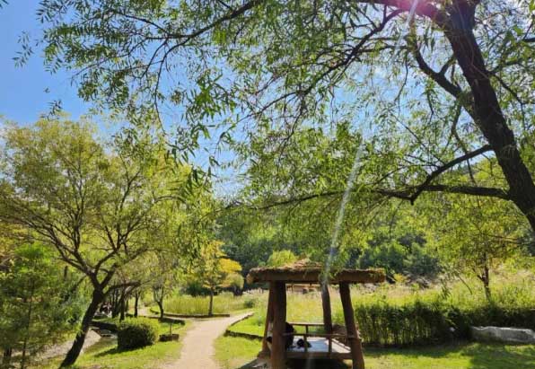 2025년 제주도 장마기간