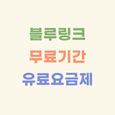 블루링크-무료-기간-유료-요금제