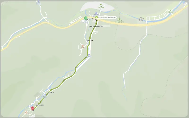 태백 눈꽃축제 셔틀버스