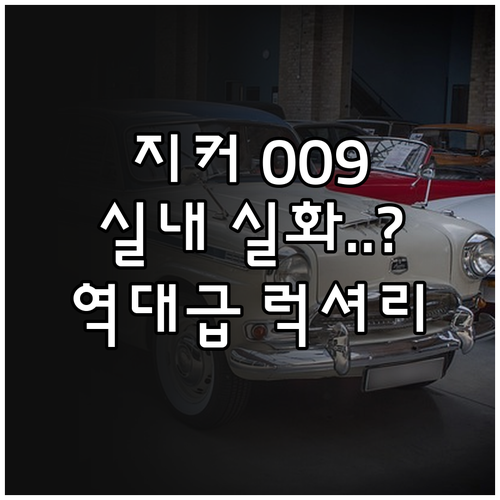 럭셔리 전기차 지커 009 6인승 내..
