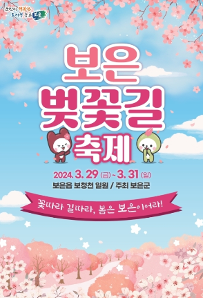 보은 벚꽃길 축제