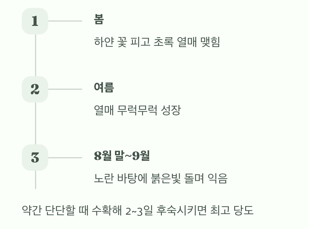 가장 달콤한 순간, 수확의 기쁨