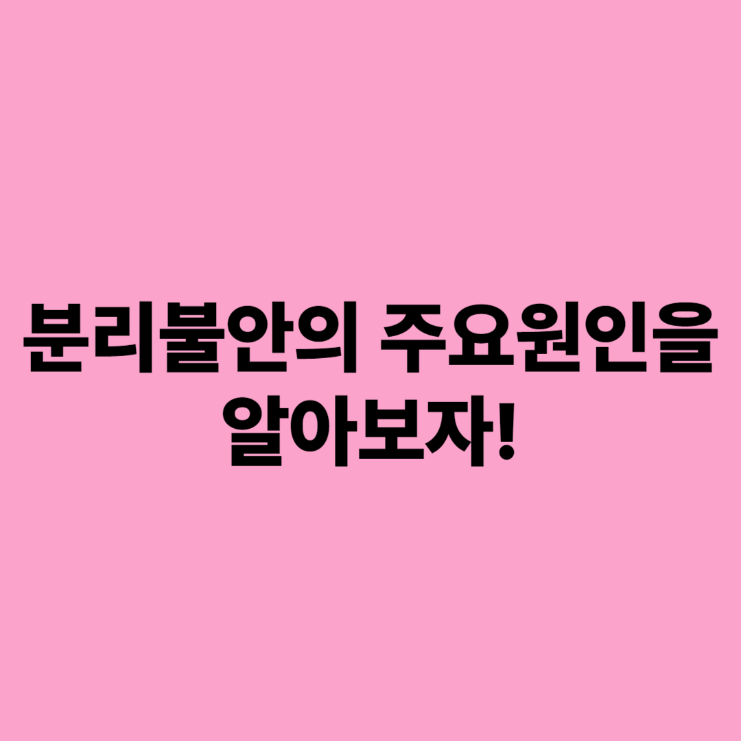 우리 강아지 문제행동 극복하기 분리불안과 과도한 짖음 해결 가이드!!