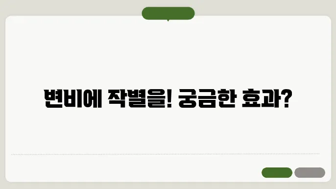 효과적인 변비약