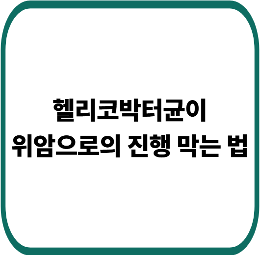 당신의 위 속에 살고 있을지도 모르는 헬리코박터균, 치료와 예방법 총정리