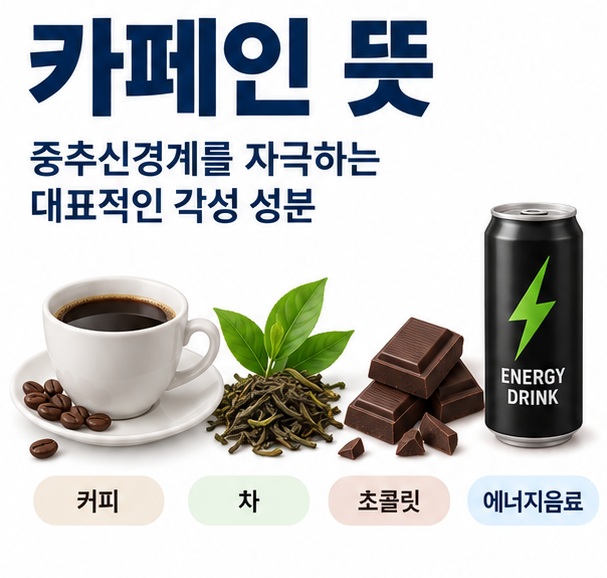 커피잔 찻잎 초콜릿 에너지음료를 배경으로 카페인 뜻이라는 글자가 중앙에 놓인 건강정보 인포그래픽