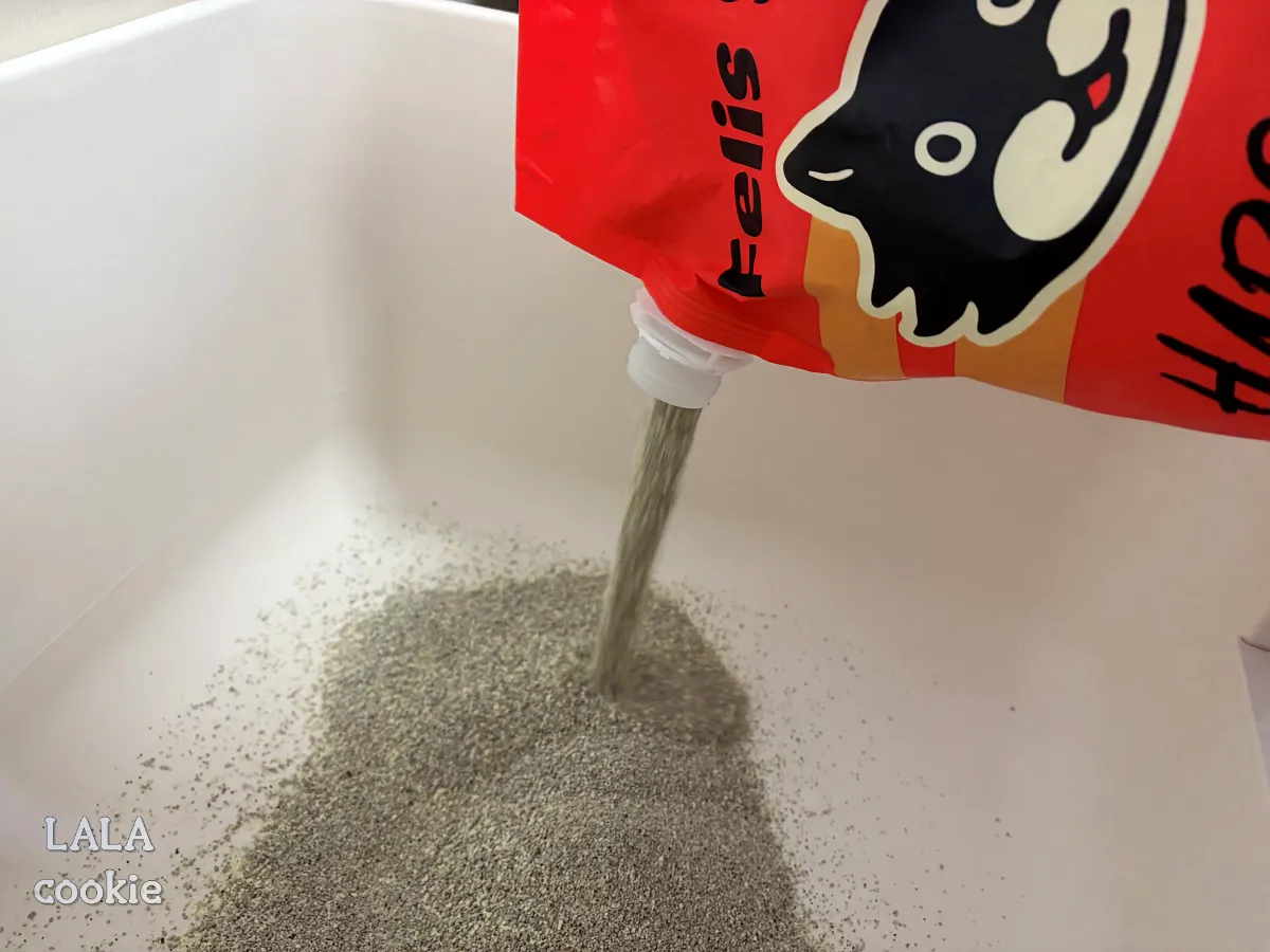 고양이-모래-추천-닥터펠리스-하드볼-후기-모래를-붓는-중