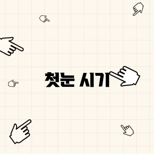 첫눈 시기