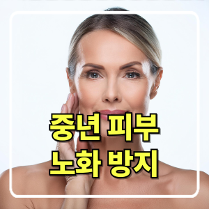중년을 위한 피부 관리법과 노화 방지 팁