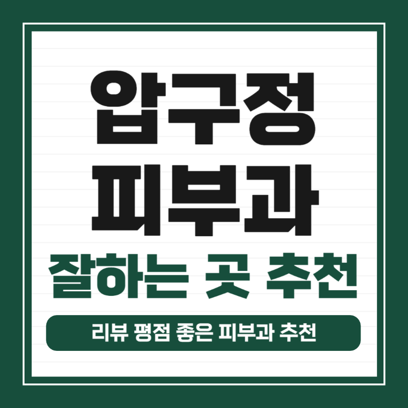 압구정 피부과 유명한 곳 전문의 병원 추천 모공 레이저 잘하는 곳 TOP 5