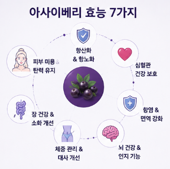 아사이베리분말-효능-먹는방법-부작용-항산화-효과