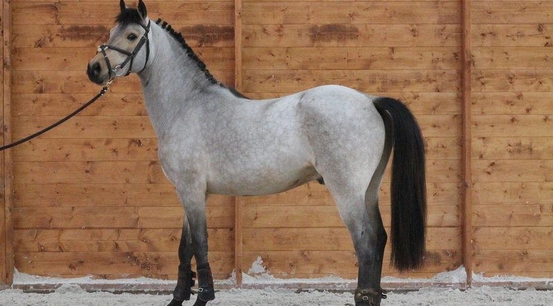 전선의 피복 두께 기준