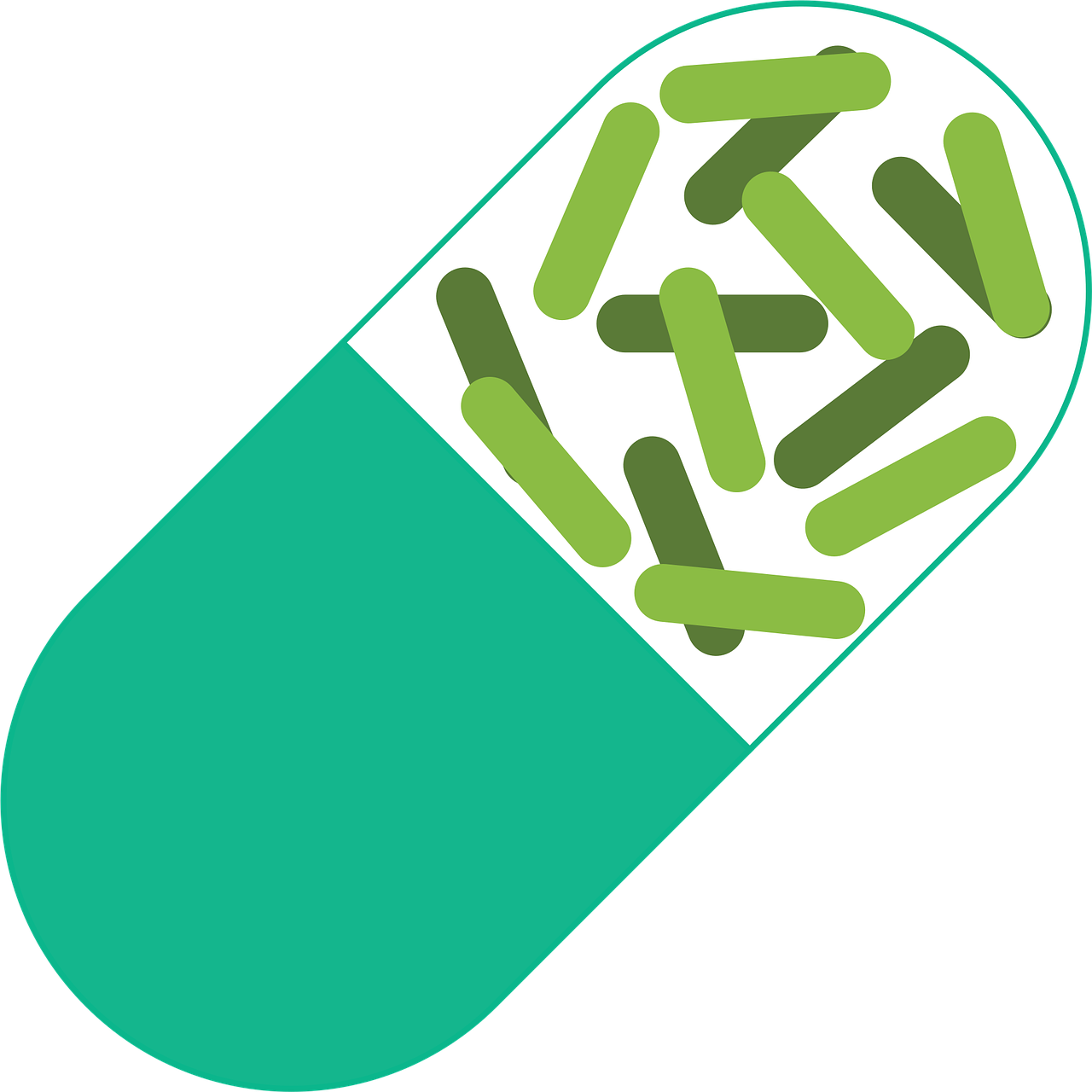 겨울철 필수 영양제 추천