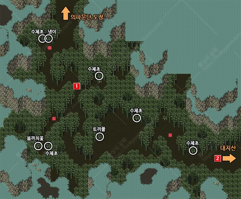 대나무 숲 지도 이미지