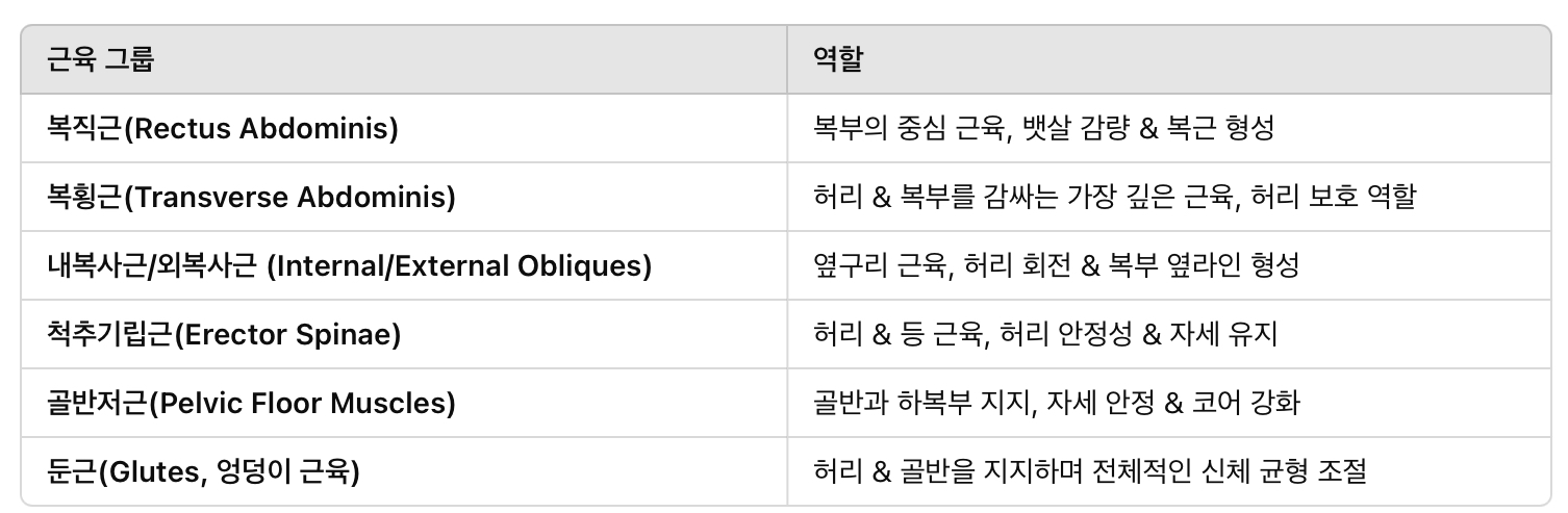 코어 근육의 역할 &amp; 구성