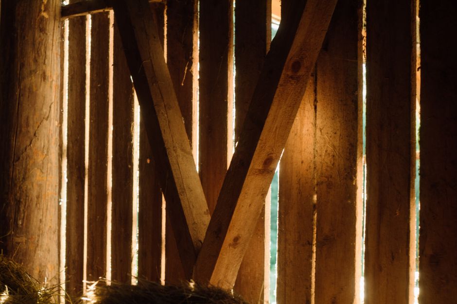 Warm sunlight filters through wooden slats inside a rustic barn, casting a cozy glow.