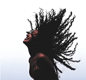 모발이식 3000모 비용