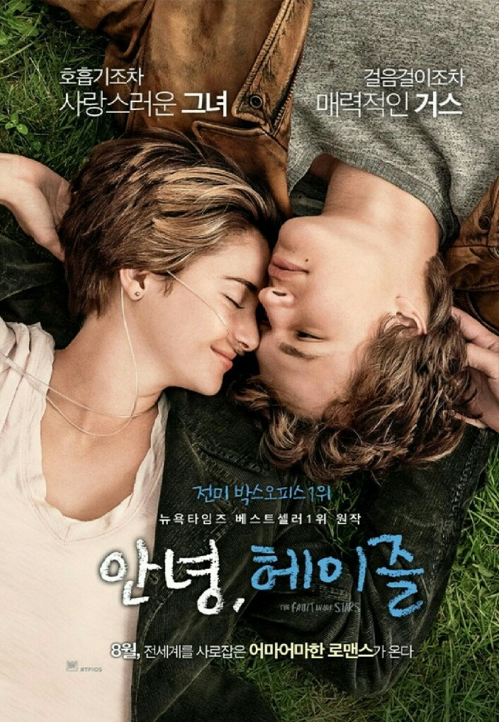 안녕 헤이즐 마지막소원 선택 동행