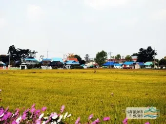 김제 가볼만한곳 베스트10 현지인 추천 필수코스_17