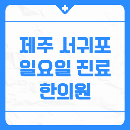 제주 서귀포시 일요일 진료 한의원