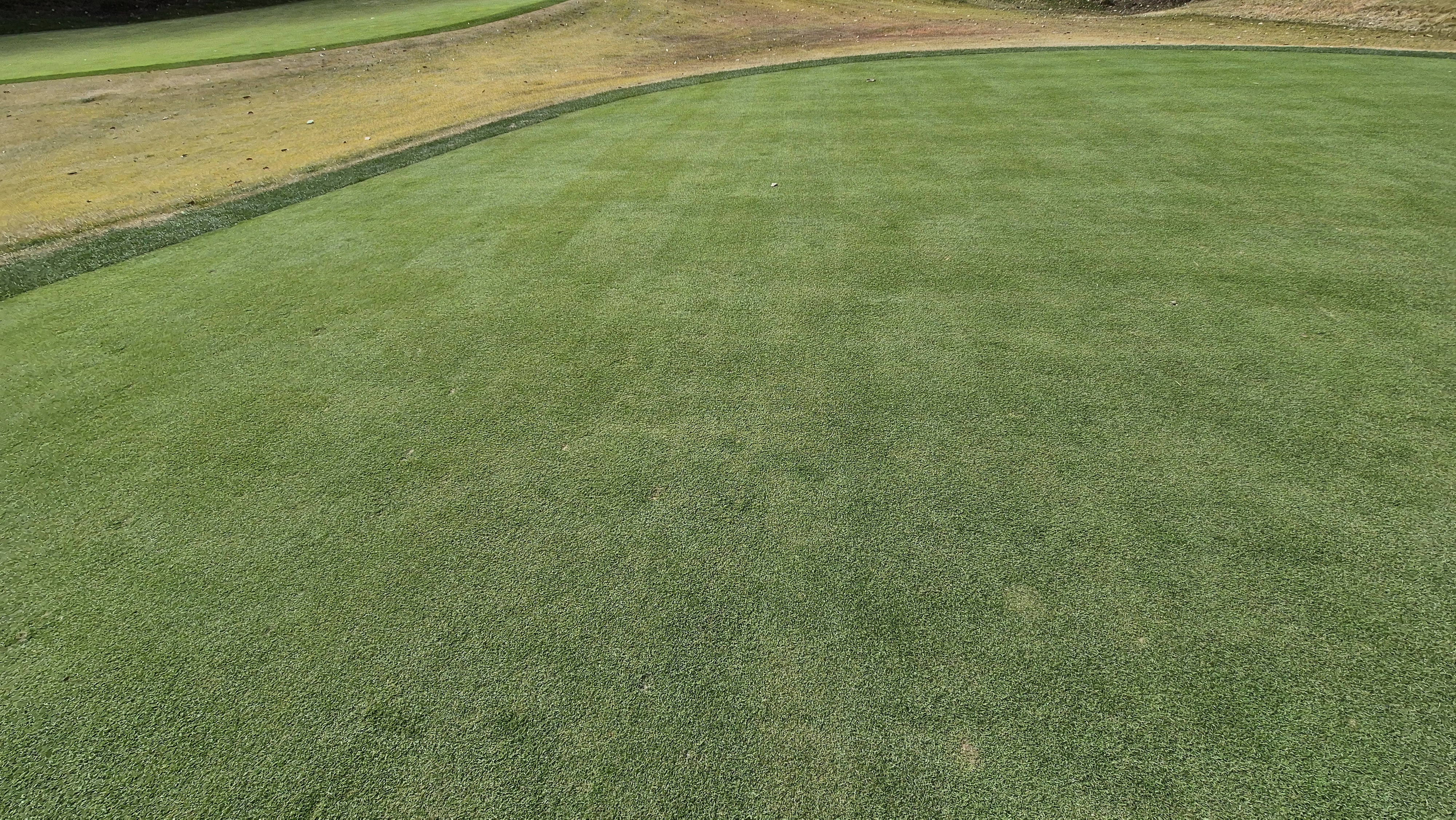 세종에머슨cc 밸리-마운틴 그린관리상태