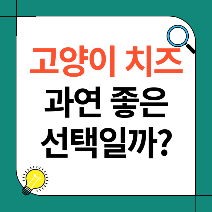 고양이 치즈, 과연 좋은 선택일까?