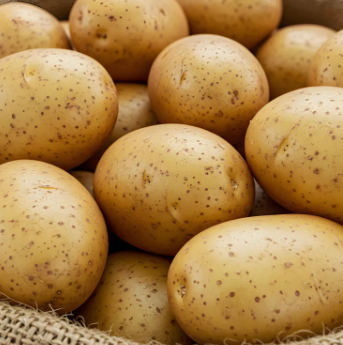 감자 삶는법 뉴슈가