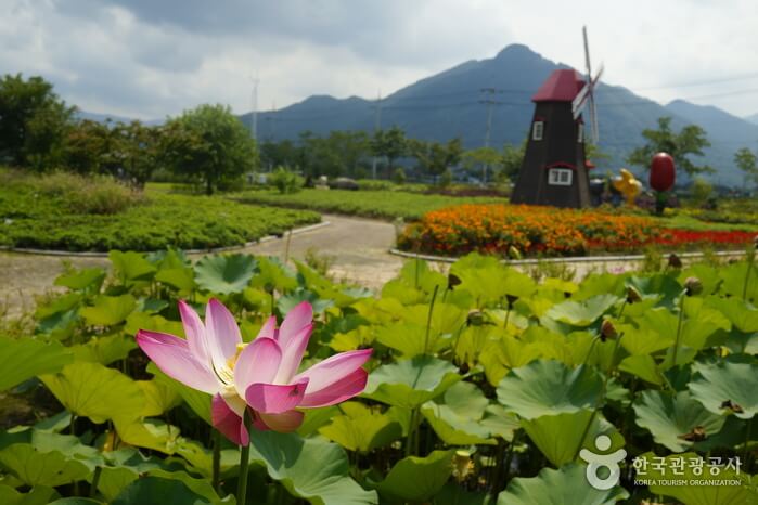 가을 여행지 단풍 추천장소 _ 속리산&amp;#44; 팔공산&amp;#44; 가야산&amp;#44; 지리산&amp;#44; 한라산 국립공원
