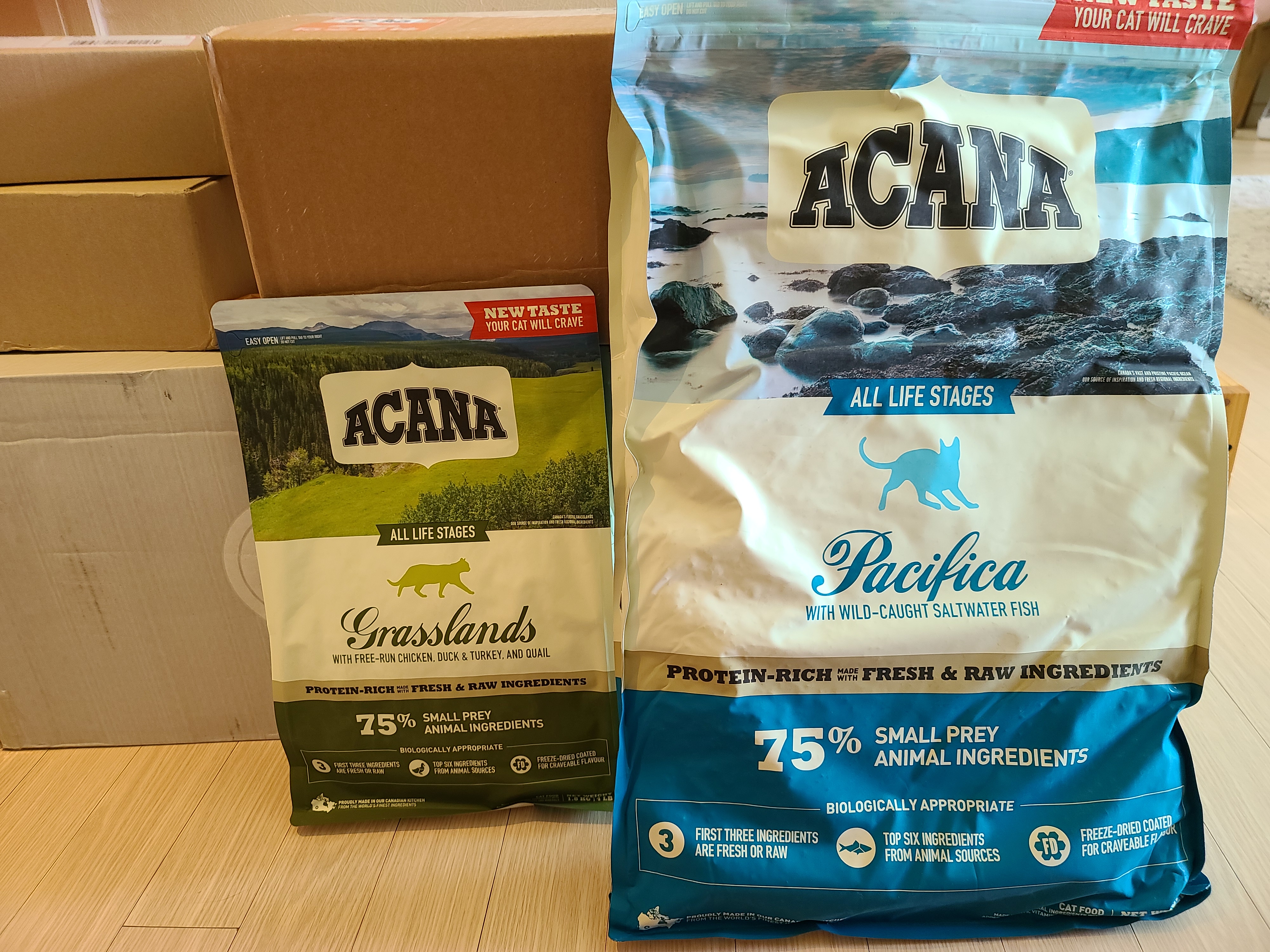 아카나 그래스랜드 캣. 고양이들에게 새로운 사료를 테스트해봤다.