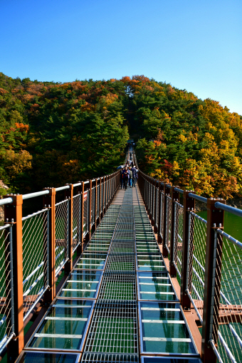 [명품숲길 50선 가을단풍 산행 ⑧] 제천 청풍호 자드락길 : 옥순봉길과 괴곡성벽길&amp;#44; 호수 위로 물든 가을 단풍길