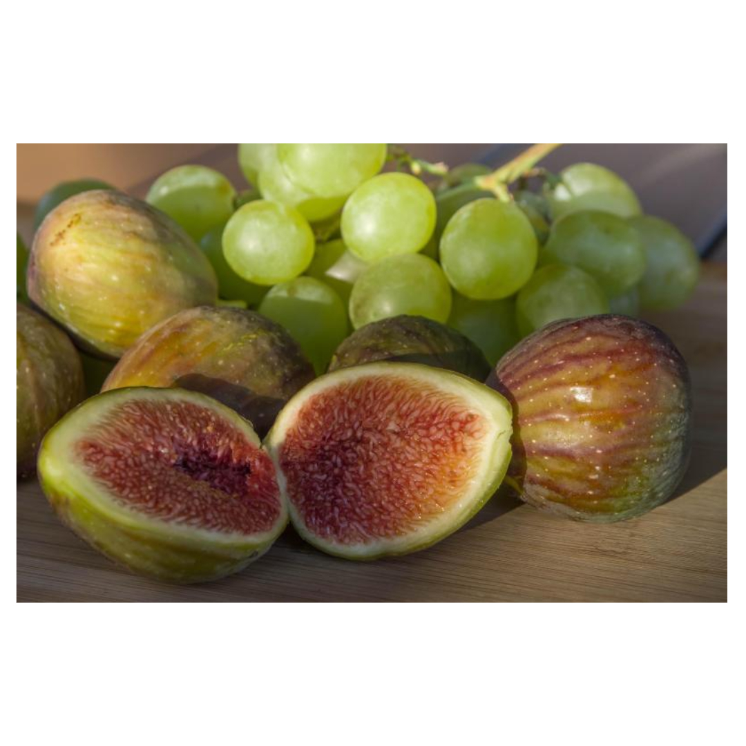 무화과와 관련된 사진입니다.