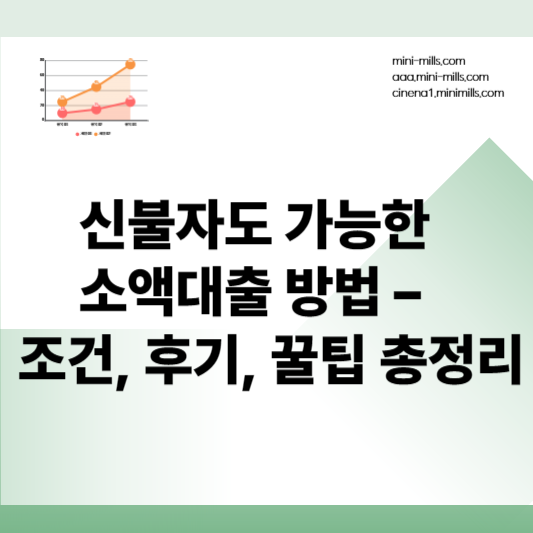 소액대출
