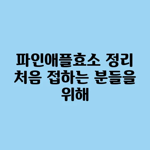 파인애플효소 정리 처음 접하는 분들을 위해